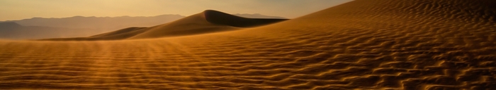 imagen bioma desierto